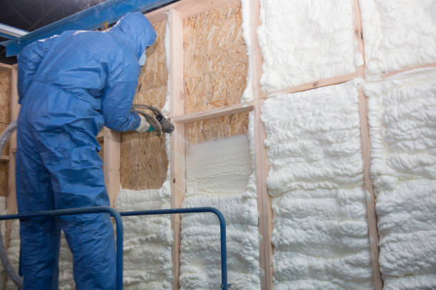 Professional Insulation Removal & Installation in Iona, FL